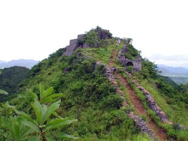 这场炮战真痛快！一次齐射灭敌人，战士给副营长请功