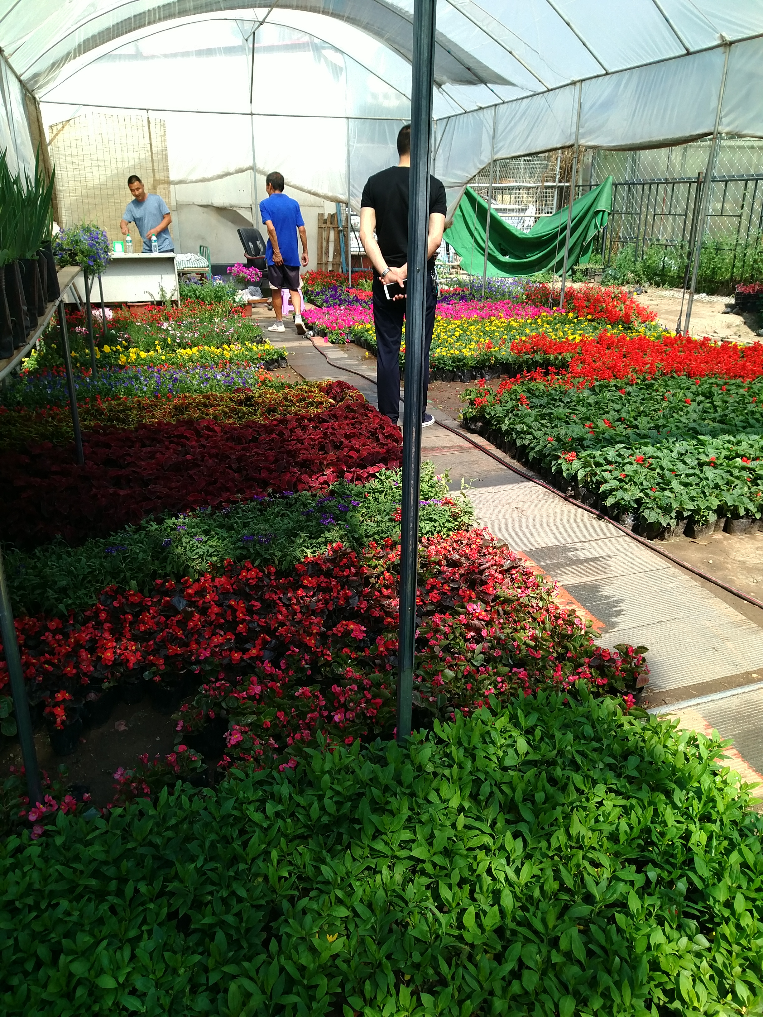 沈阳南湖花卉市场地址,沈阳南湖公园的花卉市场还有吗