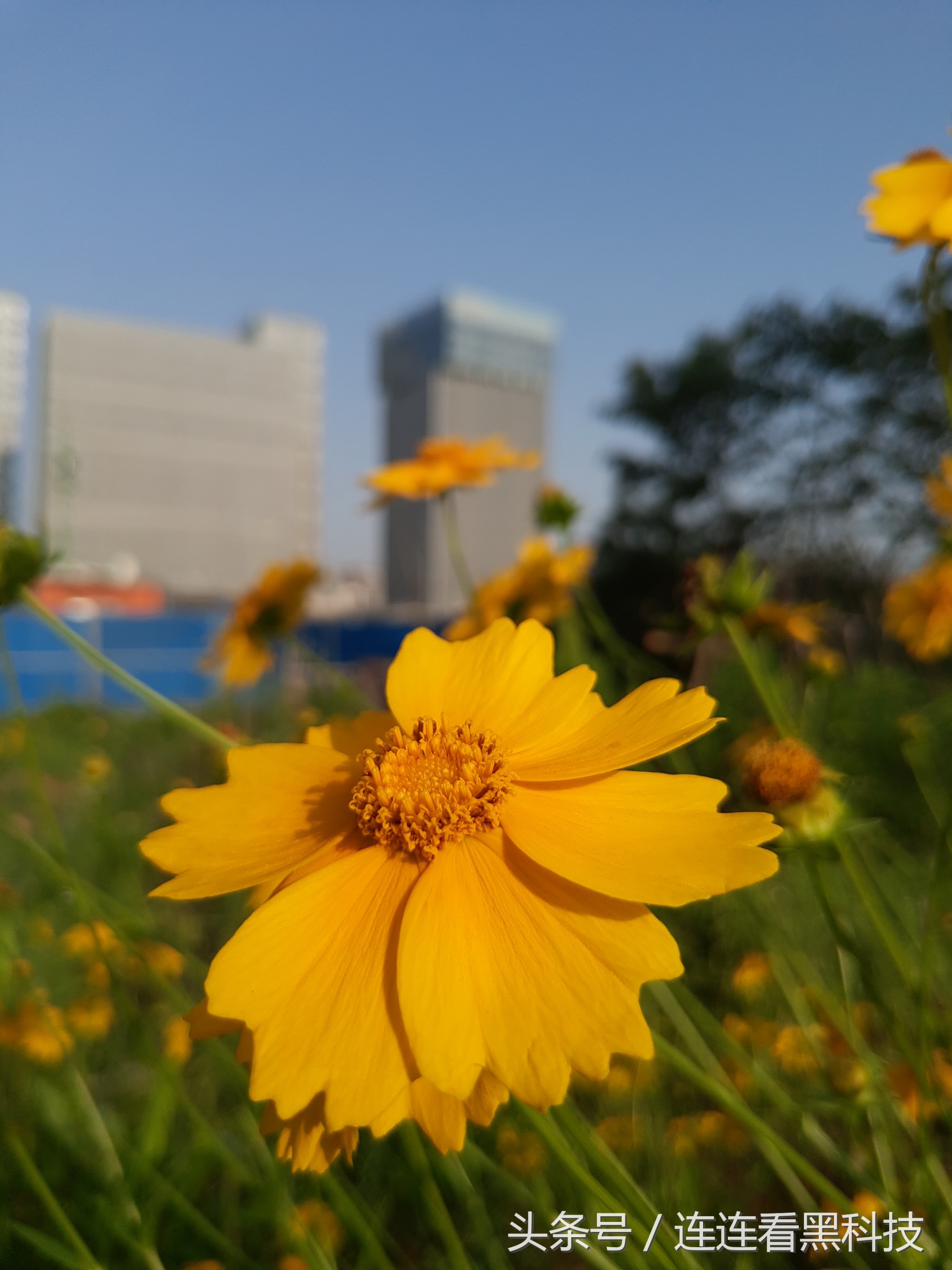 魅族15plus真机曝光网友直呼良心,魅族15plus有什么特殊性能