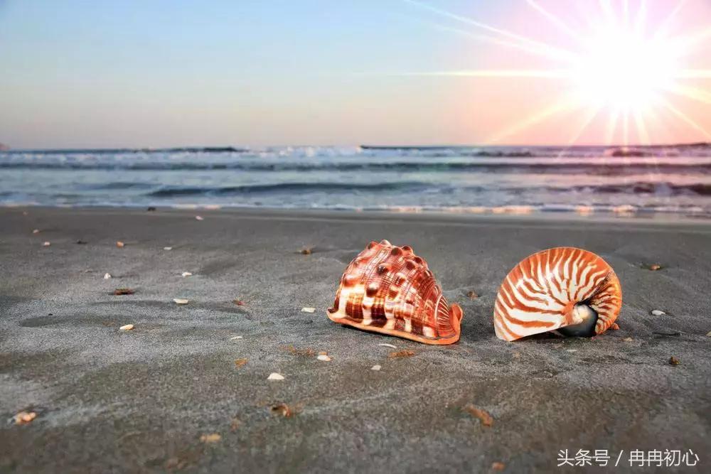 人生无常心安便是如此美好,人生无常心安便是归处下联