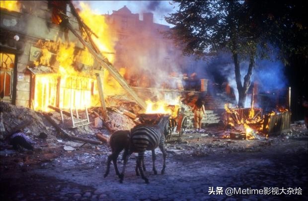 马戏团为什么消失不见了,马戏团不复往日风景