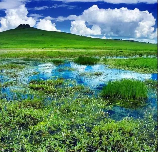 只有坝上，才能给你一场风花雪月的梦