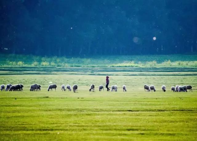 只有坝上，才能给你一场风花雪月的梦