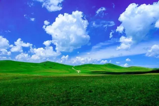 只有坝上，才能给你一场风花雪月的梦