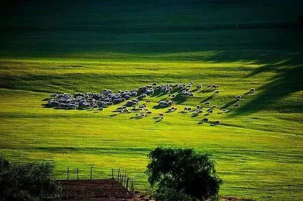 只有坝上，才能给你一场风花雪月的梦