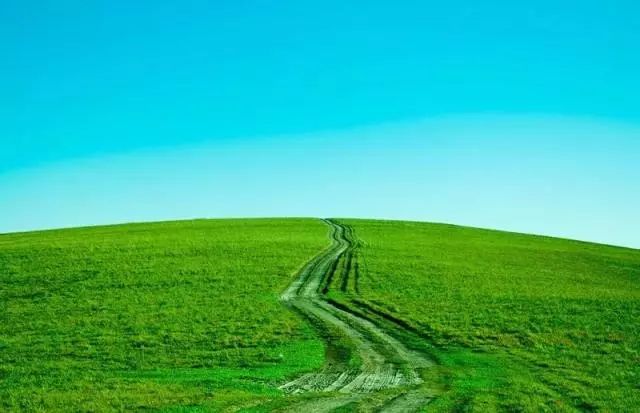 只有坝上，才能给你一场风花雪月的梦