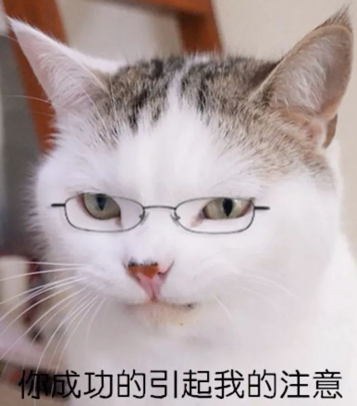 熊孩子团购9.9元,熊孩子优惠团购