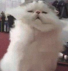 熊孩子团购9.9元,熊孩子优惠团购