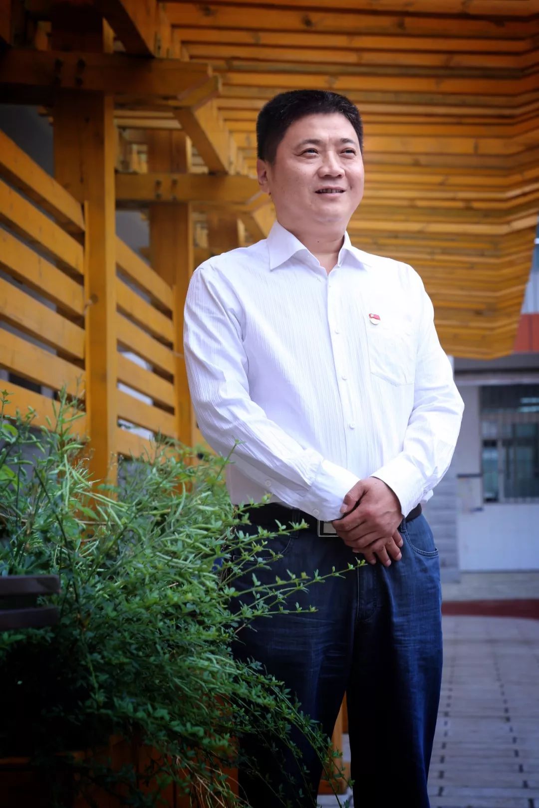 洛阳市一高有多少被清华北大录取,洛阳6所中学