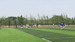 紫禁之巅1-40集完整版原声,紫禁之巅2019完整版