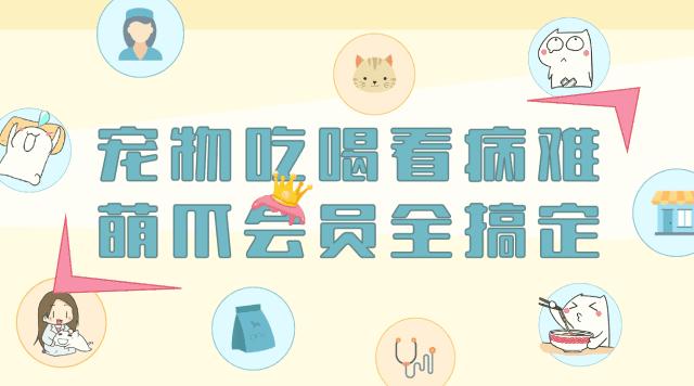 猫咪眼睛里面长了一撮毛,猫咪得病耳朵掉毛