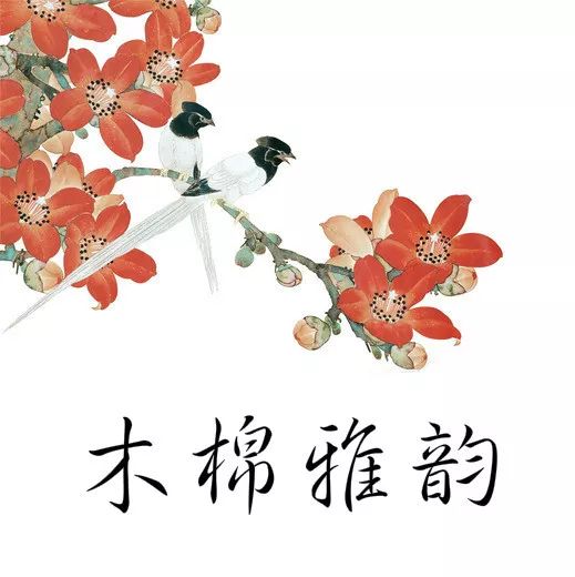 这种茶少喝！女子为治便秘连喝3年，大肠内壁全变黑了……