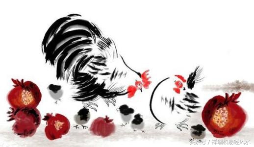 属鸡的婚姻最佳配偶,属鸡人今年婚姻运