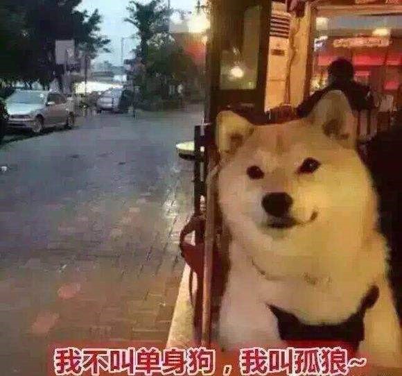 青春同学会郑恺王文娜王晓晨,青春同学会王晓晨郑恺做饭