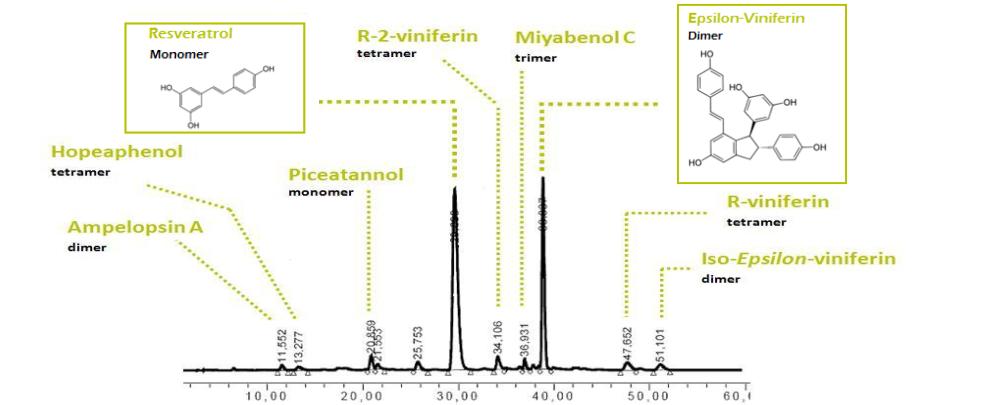 sesderma西班牙焕白果酸身体乳,西班牙美白身体乳sesderma好粘