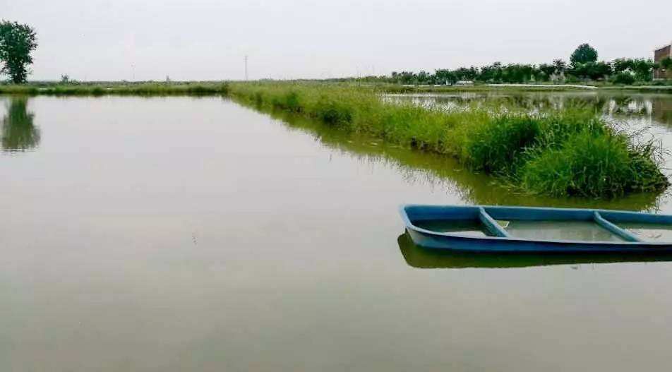 养殖一亩小龙虾一年有多少利润,小龙虾养殖每亩的成本与真实利润
