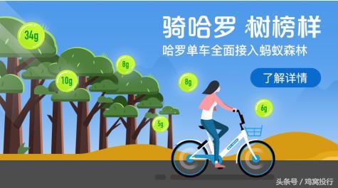 沐恩周报|小红书完成三亿美元融资;哈罗单车逆市获20亿融资