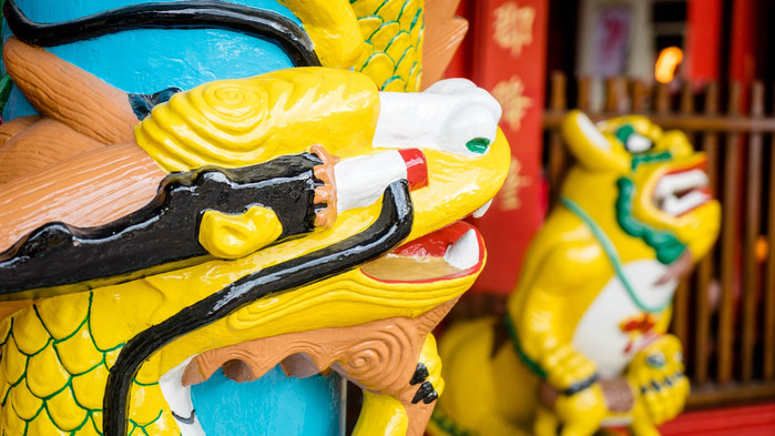 美娜多潜水圣地,印尼美娜多海豚潜水