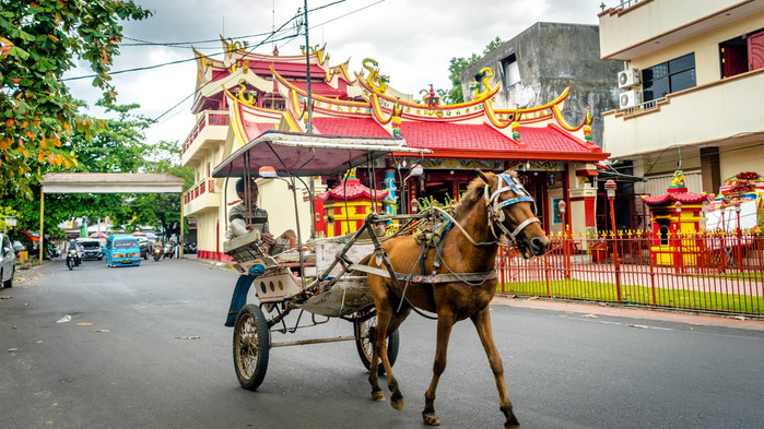 美娜多潜水圣地,印尼美娜多海豚潜水