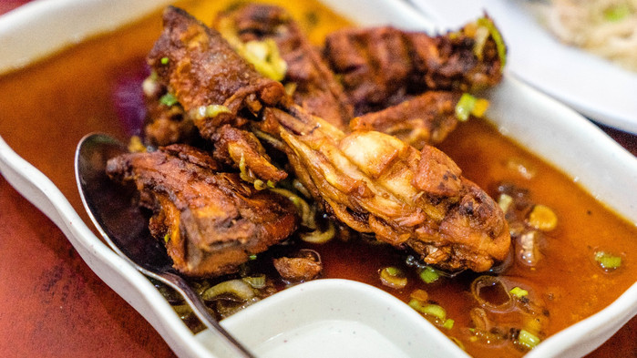 美娜多潜水圣地,印尼美娜多海豚潜水