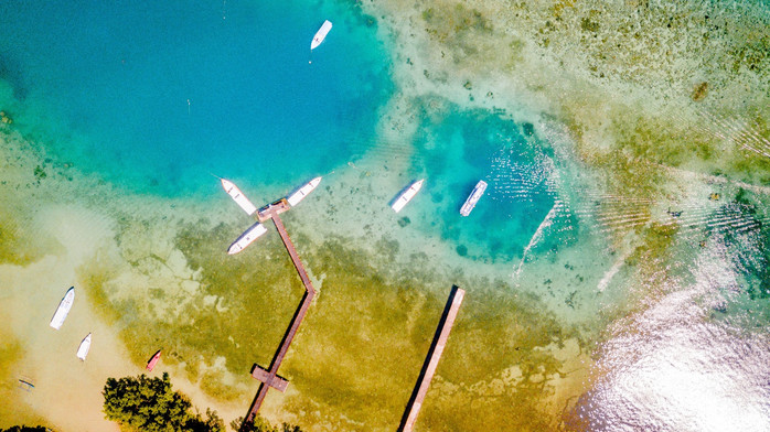 美娜多潜水圣地,印尼美娜多海豚潜水