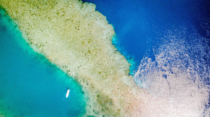 美娜多潜水圣地,印尼美娜多海豚潜水