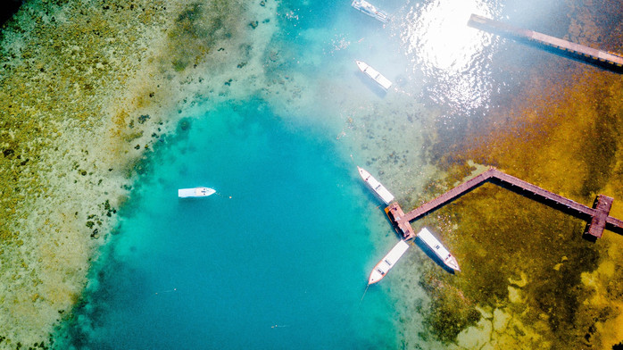 美娜多潜水圣地,印尼美娜多海豚潜水
