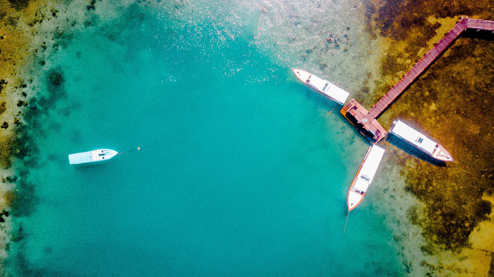 美娜多潜水圣地,印尼美娜多海豚潜水