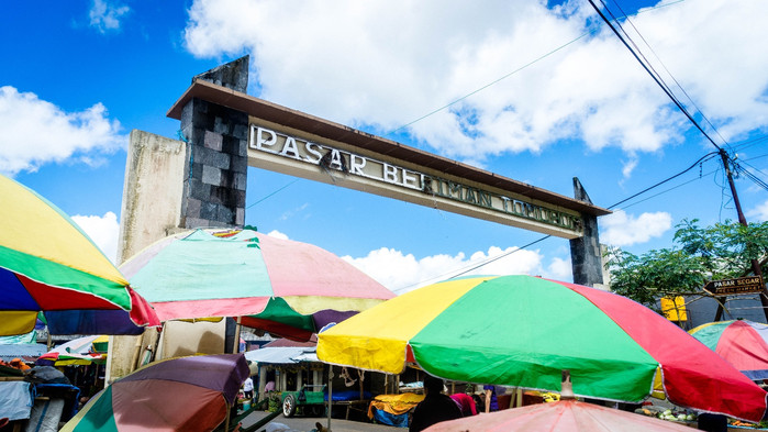 美娜多潜水圣地,印尼美娜多海豚潜水