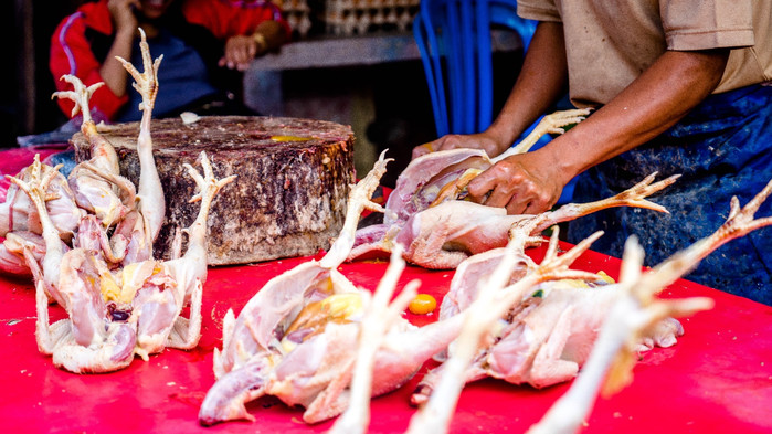 美娜多潜水圣地,印尼美娜多海豚潜水