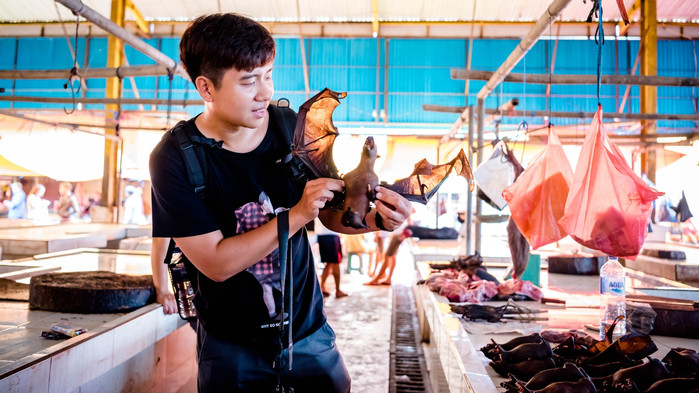 美娜多潜水圣地,印尼美娜多海豚潜水