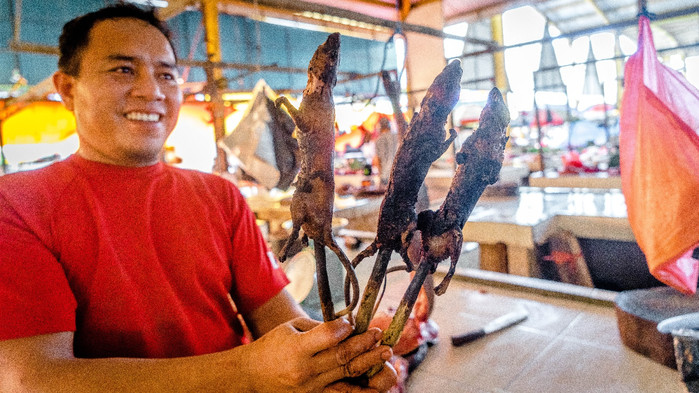 美娜多潜水圣地,印尼美娜多海豚潜水