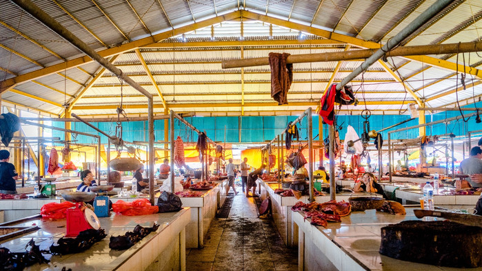 美娜多潜水圣地,印尼美娜多海豚潜水