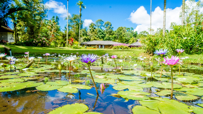 美娜多潜水圣地,印尼美娜多海豚潜水