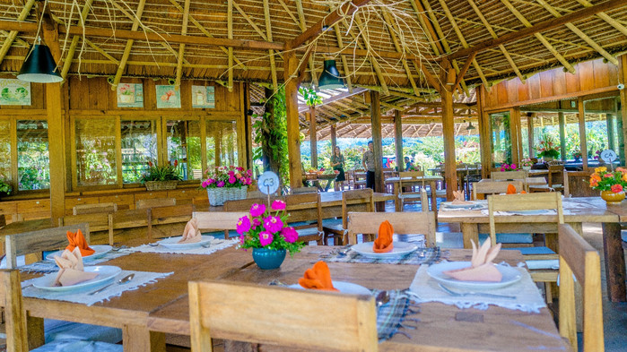 美娜多潜水圣地,印尼美娜多海豚潜水