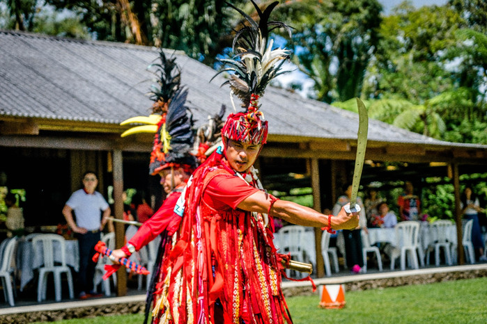 美娜多潜水圣地,印尼美娜多海豚潜水