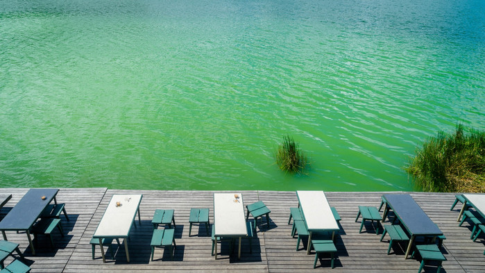 美娜多潜水圣地,印尼美娜多海豚潜水