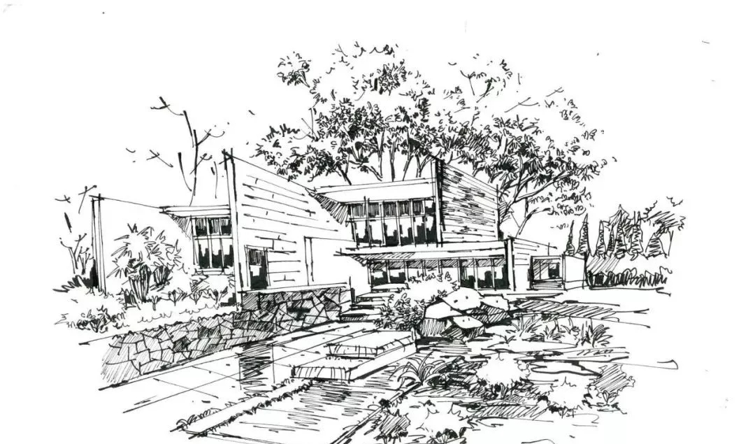 场景速写怎么画树,场景速写怎么画投影