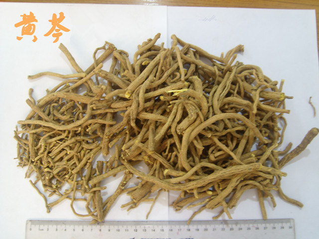 三大泻心汤的共同病机,胃阴虚可以喝甘草泻心汤