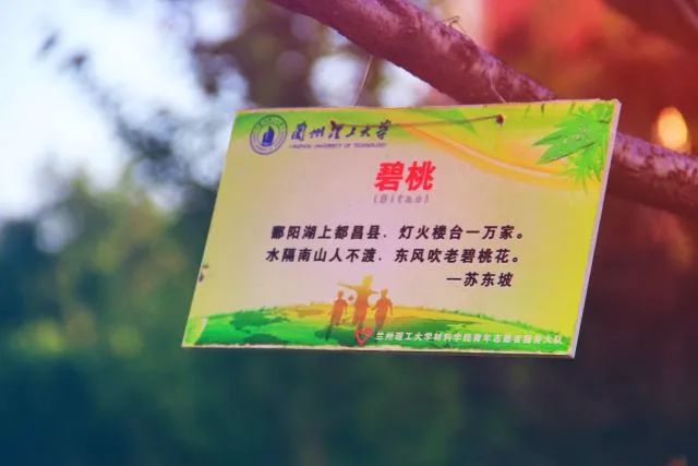 要毕业了才发现学校真的很美,要毕业了才发现学校好漂亮