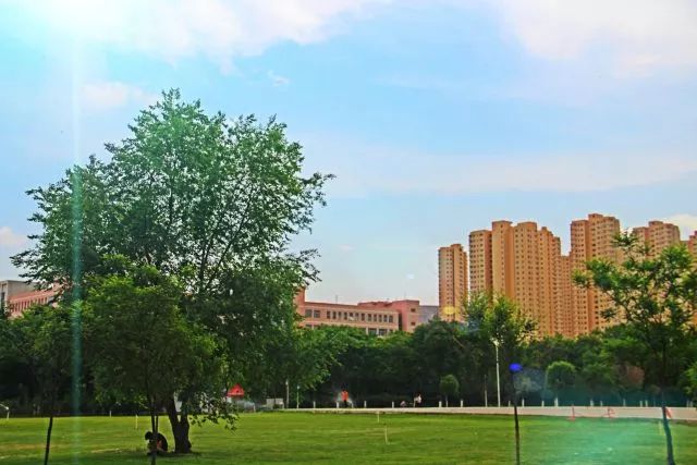 要毕业了才发现学校真的很美,要毕业了才发现学校好漂亮