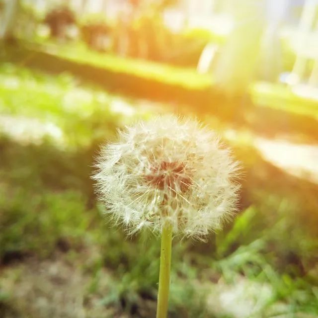 要毕业了才发现学校真的很美,要毕业了才发现学校好漂亮