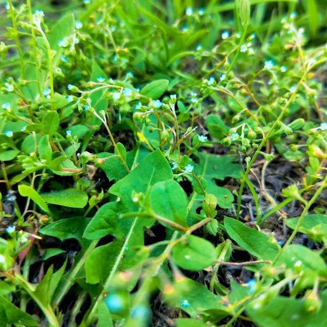 要毕业了才发现学校真的很美,要毕业了才发现学校好漂亮