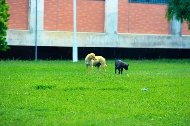 要毕业了才发现学校真的很美,要毕业了才发现学校好漂亮