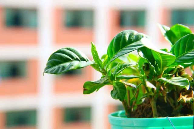 要毕业了才发现学校真的很美,要毕业了才发现学校好漂亮