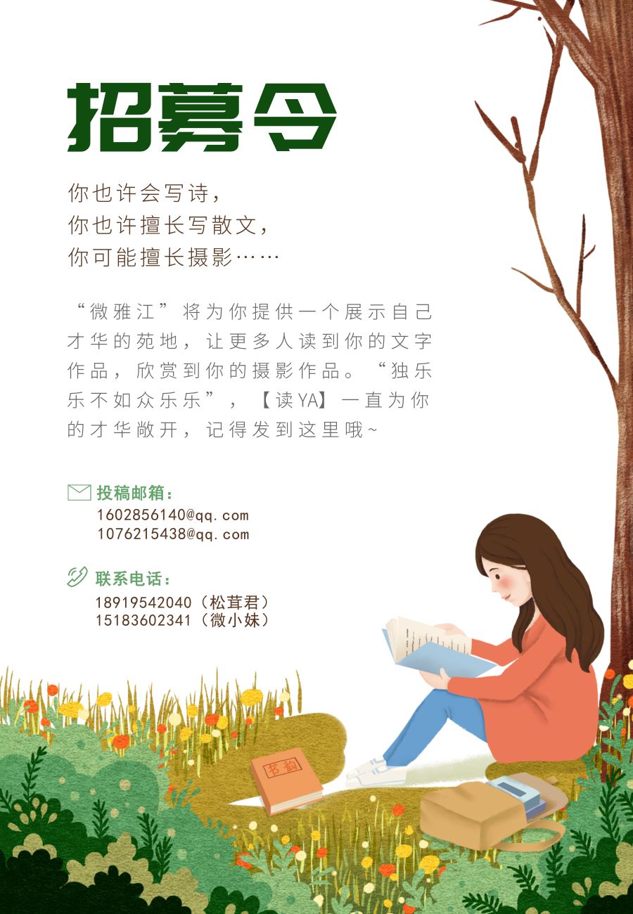 「读YA」“不知名”的万里墨香——德格印经院