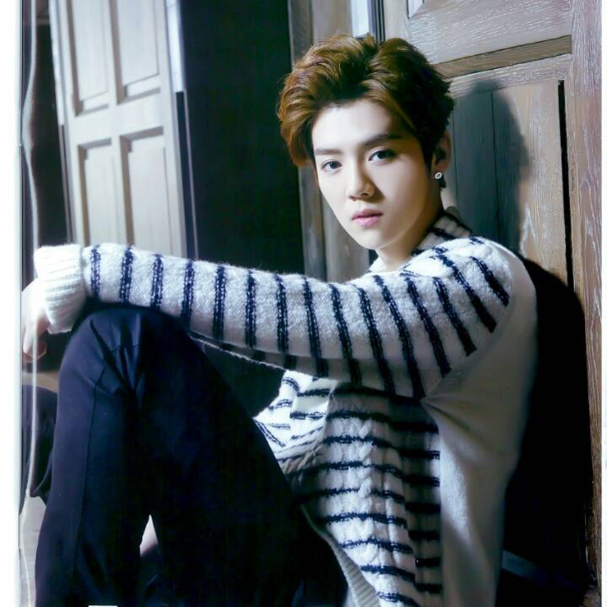 跑男团成员副业,跑男团各自副业