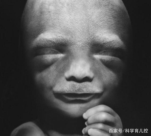 精子经过的四个过程,精子产生与吸收过程