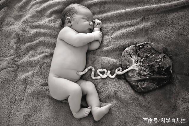 精子经过的四个过程,精子产生与吸收过程