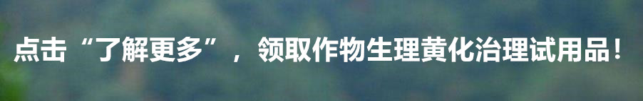 百香果树有什么病害,百香果掉叶的病害